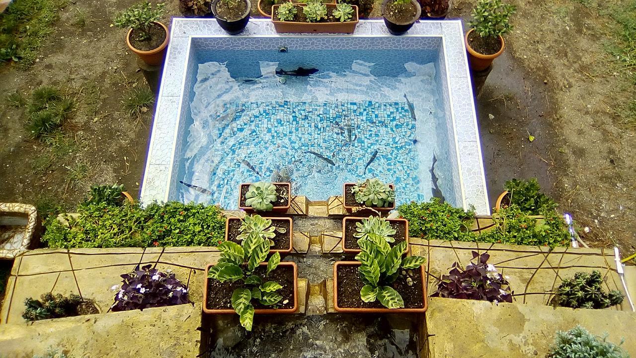 Marshal Resort Kobuleti Bagian luar foto